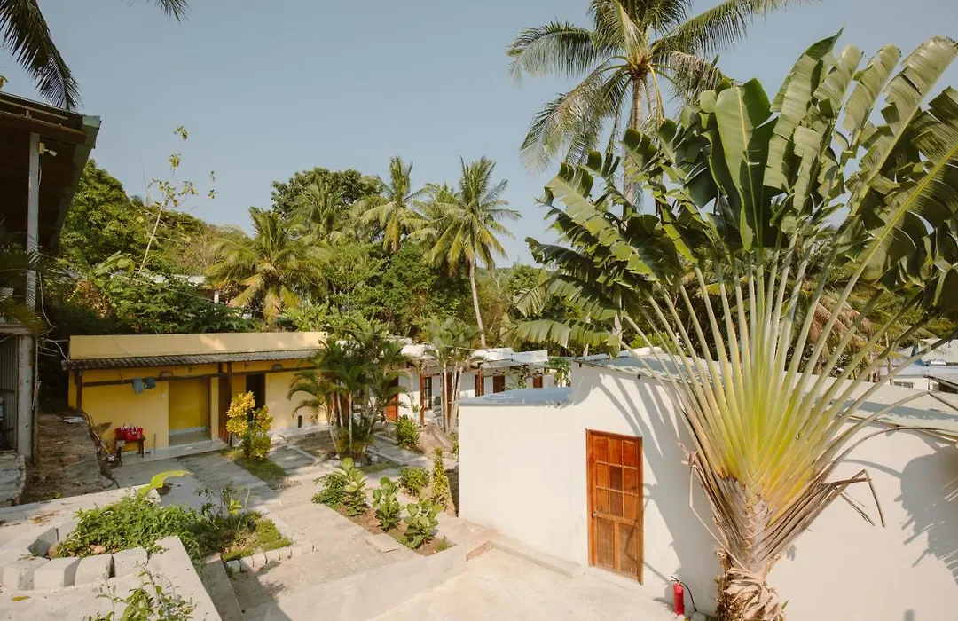 The Vibe House - Chillout Hostel-1